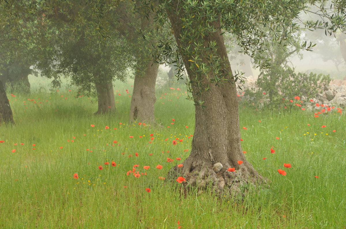 Basilicata